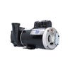 4 HP Waterway Executive Spa Pump 2 Speed 230V 3721621-13