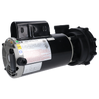 2 HP LX Spa Pump 1 Speed 230V 48WUA2002C-I (NF)